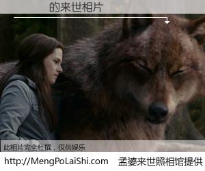 #孟婆来世照相馆# 【֣�� 来世的未来相片】一碗梦婆汤，忘却了今生爱与痛，了无牵挂进入轮回。再相遇，已是天涯陌路人。可否借我一双慧眼，看清今生与来世？孟婆来世照相馆，触摸你的未来。֣�� 来世的未来相片，有图有真相：