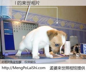 #孟婆来世照相馆# 【������ 来世的未来相片】一碗梦婆汤，忘却了今生爱与痛，了无牵挂进入轮回。再相遇，已是天涯陌路人。可否借我一双慧眼，看清今生与来世？孟婆来世照相馆，触摸你的未来。������ 来世的未来相片，有图有真相：