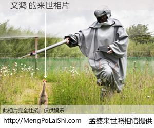 #孟婆来世照相馆# 【文鸿 来世的未来相片】一碗梦婆汤，忘却了今生爱与痛，了无牵挂进入轮回。再相遇，已是天涯陌路人。可否借我一双慧眼，看清今生与来世？孟婆来世照相馆，触摸你的未来。文鸿 来世的未来相片，有图有真相：