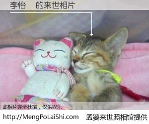 #孟婆来世照相馆# 【李怡錦 来世的未来相片】一碗梦婆汤，忘却了今生爱与痛，了无牵挂进入轮回。再相遇，已是天涯陌路人。可否借我一双慧眼，看清今生与来世？孟婆来世照相馆，触摸你的未来。李怡錦 来世的未来相片，有图有真相：