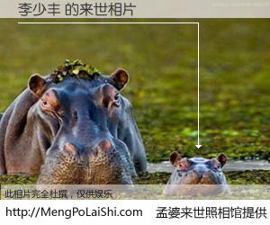 #孟婆来世照相馆# 【李少丰 来世的未来相片】一碗梦婆汤，忘却了今生爱与痛，了无牵挂进入轮回。再相遇，已是天涯陌路人。可否借我一双慧眼，看清今生与来世？孟婆来世照相馆，触摸你的未来。李少丰 来世的未来相片，有图有真相：