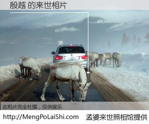 #孟婆来世照相馆# 【殷越 来世的未来相片】一碗梦婆汤，忘却了今生爱与痛，了无牵挂进入轮回。再相遇，已是天涯陌路人。可否借我一双慧眼，看清今生与来世？孟婆来世照相馆，触摸你的未来。殷越 来世的未来相片，有图有真相：