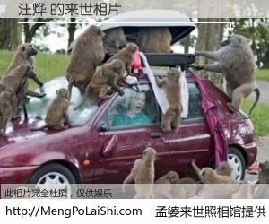 #孟婆来世照相馆# 【汪烨 来世的未来相片】一碗梦婆汤，忘却了今生爱与痛，了无牵挂进入轮回。再相遇，已是天涯陌路人。可否借我一双慧眼，看清今生与来世？孟婆来世照相馆，触摸你的未来。汪烨 来世的未来相片，有图有真相：