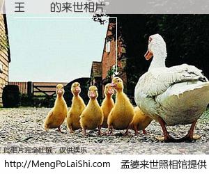 #孟婆来世照相馆# 【王勝濱 来世的未来相片】一碗梦婆汤，忘却了今生爱与痛，了无牵挂进入轮回。再相遇，已是天涯陌路人。可否借我一双慧眼，看清今生与来世？孟婆来世照相馆，触摸你的未来。王勝濱 来世的未来相片，有图有真相：