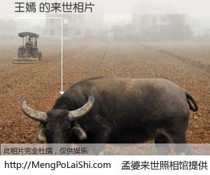 #孟婆来世照相馆# 【王嫣 来世的未来相片】一碗梦婆汤，忘却了今生爱与痛，了无牵挂进入轮回。再相遇，已是天涯陌路人。可否借我一双慧眼，看清今生与来世？孟婆来世照相馆，触摸你的未来。王嫣 来世的未来相片，有图有真相：