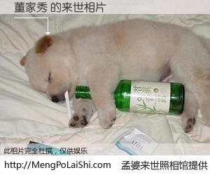 #孟婆来世照相馆# 【董家秀 来世的未来相片】一碗梦婆汤，忘却了今生爱与痛，了无牵挂进入轮回。再相遇，已是天涯陌路人。可否借我一双慧眼，看清今生与来世？孟婆来世照相馆，触摸你的未来。董家秀 来世的未来相片，有图有真相：