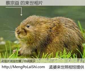 #孟婆来世照相馆# 【蔡宗益 来世的未来相片】一碗梦婆汤，忘却了今生爱与痛，了无牵挂进入轮回。再相遇，已是天涯陌路人。可否借我一双慧眼，看清今生与来世？孟婆来世照相馆，触摸你的未来。蔡宗益 来世的未来相片，有图有真相：