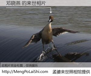 #孟婆来世照相馆# 【邓晓燕 来世的未来相片】一碗梦婆汤，忘却了今生爱与痛，了无牵挂进入轮回。再相遇，已是天涯陌路人。可否借我一双慧眼，看清今生与来世？孟婆来世照相馆，触摸你的未来。邓晓燕 来世的未来相片，有图有真相：