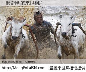 #孟婆来世照相馆# 【郝奇隆 来世的未来相片】一碗梦婆汤，忘却了今生爱与痛，了无牵挂进入轮回。再相遇，已是天涯陌路人。可否借我一双慧眼，看清今生与来世？孟婆来世照相馆，触摸你的未来。郝奇隆 来世的未来相片，有图有真相：