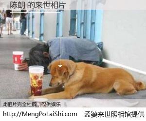 #孟婆来世照相馆# 【陈朗 来世的未来相片】一碗梦婆汤，忘却了今生爱与痛，了无牵挂进入轮回。再相遇，已是天涯陌路人。可否借我一双慧眼，看清今生与来世？孟婆来世照相馆，触摸你的未来。陈朗 来世的未来相片，有图有真相：