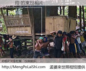 #孟婆来世照相馆# 【陳則均 来世的未来相片】一碗梦婆汤，忘却了今生爱与痛，了无牵挂进入轮回。再相遇，已是天涯陌路人。可否借我一双慧眼，看清今生与来世？孟婆来世照相馆，触摸你的未来。陳則均 来世的未来相片，有图有真相：