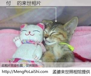 #孟婆来世照相馆# 【付赟 来世的未来相片】一碗梦婆汤，忘却了今生爱与痛，了无牵挂进入轮回。再相遇，已是天涯陌路人。可否借我一双慧眼，看清今生与来世？孟婆来世照相馆，触摸你的未来。付赟 来世的未来相片，有图有真相：