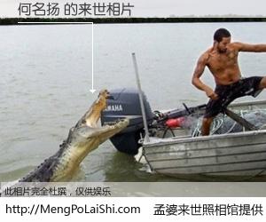 #孟婆来世照相馆# 【何名扬 来世的未来相片】一碗梦婆汤，忘却了今生爱与痛，了无牵挂进入轮回。再相遇，已是天涯陌路人。可否借我一双慧眼，看清今生与来世？孟婆来世照相馆，触摸你的未来。何名扬 来世的未来相片，有图有真相：