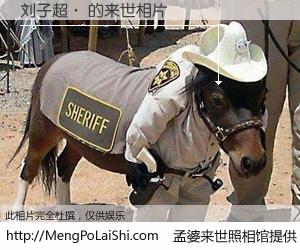 #孟婆来世照相馆# 【刘子超· 来世的未来相片】一碗梦婆汤，忘却了今生爱与痛，了无牵挂进入轮回。再相遇，已是天涯陌路人。可否借我一双慧眼，看清今生与来世？孟婆来世照相馆，触摸你的未来。刘子超· 来世的未来相片，有图有真相：