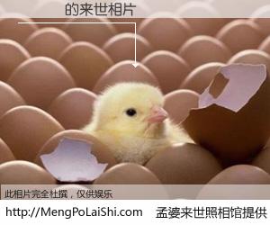 #孟婆来世照相馆# 【劉煥榮 来世的未来相片】一碗梦婆汤，忘却了今生爱与痛，了无牵挂进入轮回。再相遇，已是天涯陌路人。可否借我一双慧眼，看清今生与来世？孟婆来世照相馆，触摸你的未来。劉煥榮 来世的未来相片，有图有真相：