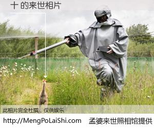 #孟婆来世照相馆# 【十 来世的未来相片】一碗梦婆汤，忘却了今生爱与痛，了无牵挂进入轮回。再相遇，已是天涯陌路人。可否借我一双慧眼，看清今生与来世？孟婆来世照相馆，触摸你的未来。十 来世的未来相片，有图有真相：