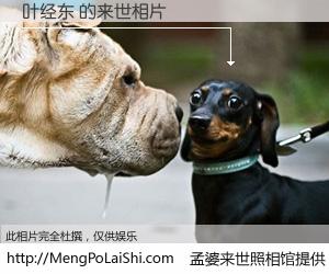 #孟婆来世照相馆# 【叶经东 来世的未来相片】一碗梦婆汤，忘却了今生爱与痛，了无牵挂进入轮回。再相遇，已是天涯陌路人。可否借我一双慧眼，看清今生与来世？孟婆来世照相馆，触摸你的未来。叶经东 来世的未来相片，有图有真相：