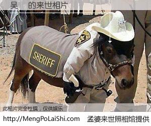 #孟婆来世照相馆# 【吴祎 来世的未来相片】一碗梦婆汤，忘却了今生爱与痛，了无牵挂进入轮回。再相遇，已是天涯陌路人。可否借我一双慧眼，看清今生与来世？孟婆来世照相馆，触摸你的未来。吴祎 来世的未来相片，有图有真相：