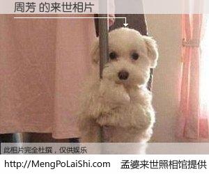 #孟婆来世照相馆# 【周芳 来世的未来相片】一碗梦婆汤，忘却了今生爱与痛，了无牵挂进入轮回。再相遇，已是天涯陌路人。可否借我一双慧眼，看清今生与来世？孟婆来世照相馆，触摸你的未来。周芳 来世的未来相片，有图有真相：