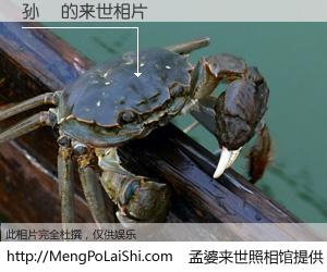 #孟婆来世照相馆# 【孙堃 来世的未来相片】一碗梦婆汤，忘却了今生爱与痛，了无牵挂进入轮回。再相遇，已是天涯陌路人。可否借我一双慧眼，看清今生与来世？孟婆来世照相馆，触摸你的未来。孙堃 来世的未来相片，有图有真相：