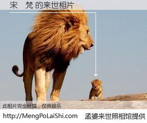 #孟婆来世照相馆# 【宋璟梵 来世的未来相片】一碗梦婆汤，忘却了今生爱与痛，了无牵挂进入轮回。再相遇，已是天涯陌路人。可否借我一双慧眼，看清今生与来世？孟婆来世照相馆，触摸你的未来。宋璟梵 来世的未来相片，有图有真相：