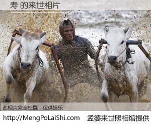 #孟婆来世照相馆# 【寿 来世的未来相片】一碗梦婆汤，忘却了今生爱与痛，了无牵挂进入轮回。再相遇，已是天涯陌路人。可否借我一双慧眼，看清今生与来世？孟婆来世照相馆，触摸你的未来。寿 来世的未来相片，有图有真相：