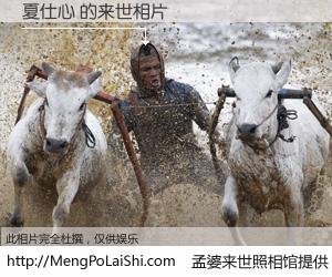 #孟婆来世照相馆# 【夏仕心 来世的未来相片】一碗梦婆汤，忘却了今生爱与痛，了无牵挂进入轮回。再相遇，已是天涯陌路人。可否借我一双慧眼，看清今生与来世？孟婆来世照相馆，触摸你的未来。夏仕心 来世的未来相片，有图有真相：