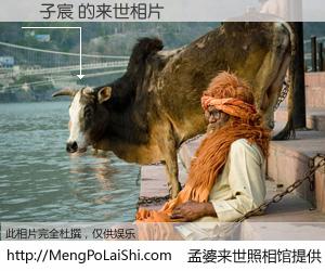 #孟婆来世照相馆# 【張子宸 来世的未来相片】一碗梦婆汤，忘却了今生爱与痛，了无牵挂进入轮回。再相遇，已是天涯陌路人。可否借我一双慧眼，看清今生与来世？孟婆来世照相馆，触摸你的未来。張子宸 来世的未来相片，有图有真相：