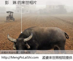 #孟婆来世照相馆# 【彭祎琳 来世的未来相片】一碗梦婆汤，忘却了今生爱与痛，了无牵挂进入轮回。再相遇，已是天涯陌路人。可否借我一双慧眼，看清今生与来世？孟婆来世照相馆，触摸你的未来。彭祎琳 来世的未来相片，有图有真相：