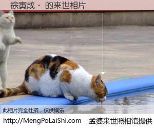 #孟婆来世照相馆# 【徐寅成· 来世的未来相片】一碗梦婆汤，忘却了今生爱与痛，了无牵挂进入轮回。再相遇，已是天涯陌路人。可否借我一双慧眼，看清今生与来世？孟婆来世照相馆，触摸你的未来。徐寅成· 来世的未来相片，有图有真相：