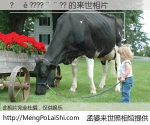 #孟婆来世照相馆# 【?��????��?? 来世的未来相片】一碗梦婆汤，忘却了今生爱与痛，了无牵挂进入轮回。再相遇，已是天涯陌路人。可否借我一双慧眼，看清今生与来世？孟婆来世照相馆，触摸你的未来。?��????��?? 来世的未来相片，有图有真相：