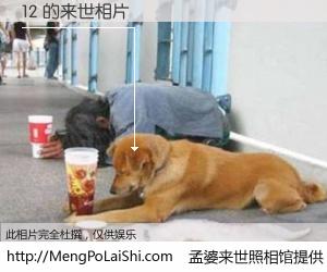 #孟婆来世照相馆# 【12 来世的未来相片】一碗梦婆汤，忘却了今生爱与痛，了无牵挂进入轮回。再相遇，已是天涯陌路人。可否借我一双慧眼，看清今生与来世？孟婆来世照相馆，触摸你的未来。12 来世的未来相片，有图有真相：