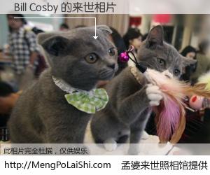 #孟婆来世照相馆# 【Bill Cosby 来世的未来相片】一碗梦婆汤，忘却了今生爱与痛，了无牵挂进入轮回。再相遇，已是天涯陌路人。可否借我一双慧眼，看清今生与来世？孟婆来世照相馆，触摸你的未来。Bill Cosby 来世的未来相片，有图有真相：