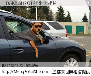 #孟婆来世照相馆# 【DAKBGH2O1 来世的未来相片】一碗梦婆汤，忘却了今生爱与痛，了无牵挂进入轮回。再相遇，已是天涯陌路人。可否借我一双慧眼，看清今生与来世？孟婆来世照相馆，触摸你的未来。DAKBGH2O1 来世的未来相片，有图有真相：
