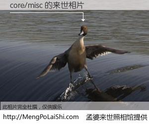#孟婆来世照相馆# 【core/misc 来世的未来相片】一碗梦婆汤，忘却了今生爱与痛，了无牵挂进入轮回。再相遇，已是天涯陌路人。可否借我一双慧眼，看清今生与来世？孟婆来世照相馆，触摸你的未来。core/misc 来世的未来相片，有图有真相：