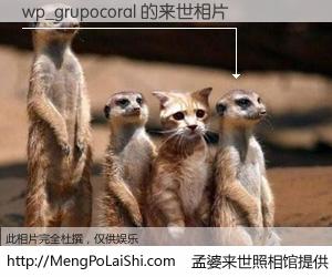 #孟婆来世照相馆# 【wp_grupocoral 来世的未来相片】一碗梦婆汤，忘却了今生爱与痛，了无牵挂进入轮回。再相遇，已是天涯陌路人。可否借我一双慧眼，看清今生与来世？孟婆来世照相馆，触摸你的未来。wp_grupocoral 来世的未来相片，有图有真相：