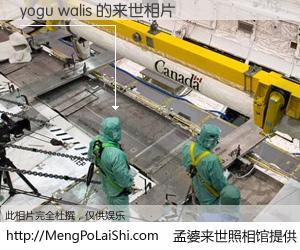 #孟婆来世照相馆# 【yogu walis 来世的未来相片】一碗梦婆汤，忘却了今生爱与痛，了无牵挂进入轮回。再相遇，已是天涯陌路人。可否借我一双慧眼，看清今生与来世？孟婆来世照相馆，触摸你的未来。yogu walis 来世的未来相片，有图有真相：