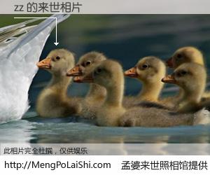 #孟婆来世照相馆# 【zz 来世的未来相片】一碗梦婆汤，忘却了今生爱与痛，了无牵挂进入轮回。再相遇，已是天涯陌路人。可否借我一双慧眼，看清今生与来世？孟婆来世照相馆，触摸你的未来。zz 来世的未来相片，有图有真相：