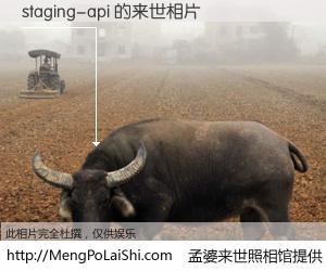 #孟婆来世照相馆# 【staging-api 来世的未来相片】一碗梦婆汤，忘却了今生爱与痛，了无牵挂进入轮回。再相遇，已是天涯陌路人。可否借我一双慧眼，看清今生与来世？孟婆来世照相馆，触摸你的未来。staging-api 来世的未来相片，有图有真相：