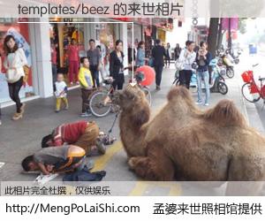 #孟婆来世照相馆# 【templates/beez 来世的未来相片】一碗梦婆汤，忘却了今生爱与痛，了无牵挂进入轮回。再相遇，已是天涯陌路人。可否借我一双慧眼，看清今生与来世？孟婆来世照相馆，触摸你的未来。templates/beez 来世的未来相片，有图有真相：