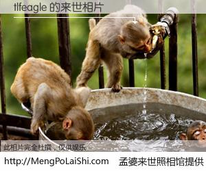 #孟婆来世照相馆# 【tlfeagle 来世的未来相片】一碗梦婆汤，忘却了今生爱与痛，了无牵挂进入轮回。再相遇，已是天涯陌路人。可否借我一双慧眼，看清今生与来世？孟婆来世照相馆，触摸你的未来。tlfeagle 来世的未来相片，有图有真相：