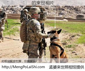 #孟婆来世照相馆# 【���_�� 来世的未来相片】一碗梦婆汤，忘却了今生爱与痛，了无牵挂进入轮回。再相遇，已是天涯陌路人。可否借我一双慧眼，看清今生与来世？孟婆来世照相馆，触摸你的未来。���_�� 来世的未来相片，有图有真相：