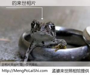 #孟婆来世照相馆# 【ͷ 来世的未来相片】一碗梦婆汤，忘却了今生爱与痛，了无牵挂进入轮回。再相遇，已是天涯陌路人。可否借我一双慧眼，看清今生与来世？孟婆来世照相馆，触摸你的未来。ͷ 来世的未来相片，有图有真相：