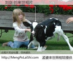 #孟婆来世照相馆# 【刘剑 来世的未来相片】一碗梦婆汤，忘却了今生爱与痛，了无牵挂进入轮回。再相遇，已是天涯陌路人。可否借我一双慧眼，看清今生与来世？孟婆来世照相馆，触摸你的未来。刘剑 来世的未来相片，有图有真相：