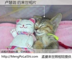 #孟婆来世照相馆# 【卢慧珈 来世的未来相片】一碗梦婆汤，忘却了今生爱与痛，了无牵挂进入轮回。再相遇，已是天涯陌路人。可否借我一双慧眼，看清今生与来世？孟婆来世照相馆，触摸你的未来。卢慧珈 来世的未来相片，有图有真相：