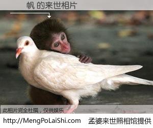 #孟婆来世照相馆# 【呂書帆 来世的未来相片】一碗梦婆汤，忘却了今生爱与痛，了无牵挂进入轮回。再相遇，已是天涯陌路人。可否借我一双慧眼，看清今生与来世？孟婆来世照相馆，触摸你的未来。呂書帆 来世的未来相片，有图有真相：