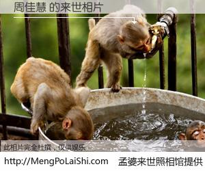 #孟婆来世照相馆# 【周佳慧 来世的未来相片】一碗梦婆汤，忘却了今生爱与痛，了无牵挂进入轮回。再相遇，已是天涯陌路人。可否借我一双慧眼，看清今生与来世？孟婆来世照相馆，触摸你的未来。周佳慧 来世的未来相片，有图有真相：