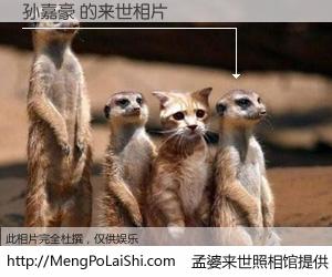 #孟婆来世照相馆# 【孙嘉豪 来世的未来相片】一碗梦婆汤，忘却了今生爱与痛，了无牵挂进入轮回。再相遇，已是天涯陌路人。可否借我一双慧眼，看清今生与来世？孟婆来世照相馆，触摸你的未来。孙嘉豪 来世的未来相片，有图有真相：