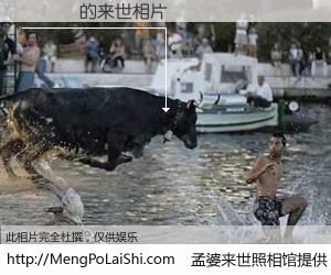 #孟婆来世照相馆# 【孫偉業 来世的未来相片】一碗梦婆汤，忘却了今生爱与痛，了无牵挂进入轮回。再相遇，已是天涯陌路人。可否借我一双慧眼，看清今生与来世？孟婆来世照相馆，触摸你的未来。孫偉業 来世的未来相片，有图有真相：