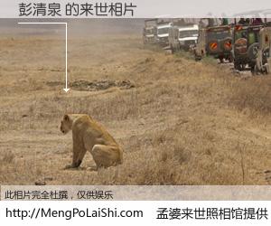 #孟婆来世照相馆# 【彭清泉 来世的未来相片】一碗梦婆汤，忘却了今生爱与痛，了无牵挂进入轮回。再相遇，已是天涯陌路人。可否借我一双慧眼，看清今生与来世？孟婆来世照相馆，触摸你的未来。彭清泉 来世的未来相片，有图有真相：